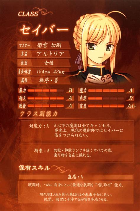 Watcher's Servant Profile from Fate/strange Fake Volume 6